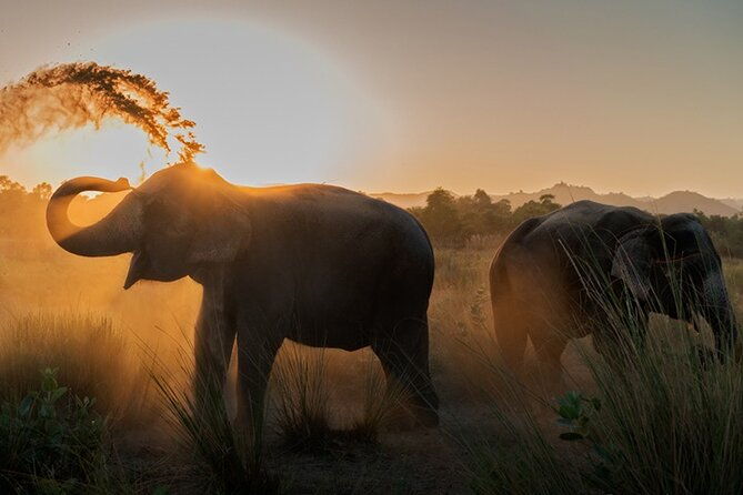 Private Elephant Sanctuary - Location and Accessibility