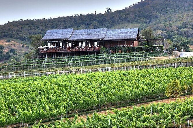 Private Experience of Wine Tasting Hua Hin in Monsoon Valley - A Detailed Look at the Private Wine Tasting Experience in Hua Hin’s Monsoon Valley