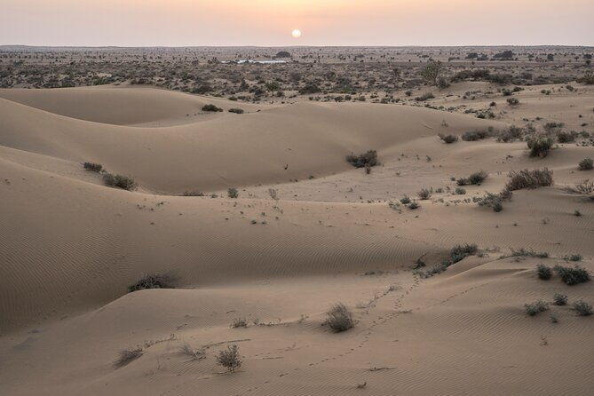 Private Family Tour in Jaisalmer - Exploring the Private Family Tour in Jaisalmer: A Deep Dive into Desert and City Charm