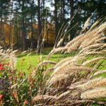 Private Forest Mind Tour in Tampere - What to Expect from the Forest Mind Tour