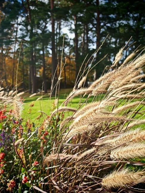 Private Forest Mind Tour in Tampere - What to Expect from the Forest Mind Tour