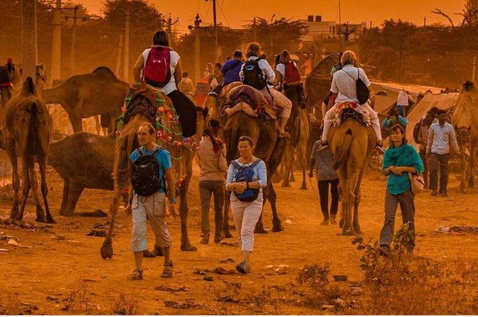 Private Full Day Jaipur Sightseeing Tour By Tuk-Tuk (Rickshaw) - Exploring Jaipur by Tuk-Tuk: An Authentic, Budget-Friendly Adventure