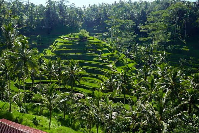 Private Full-Day Tour: Explore The Villages Of Ubud Bali - Key Points