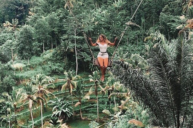 Private Guided Tour: The Best Of Ubud With Jungle Swing - The Full Experience: What You Can Expect