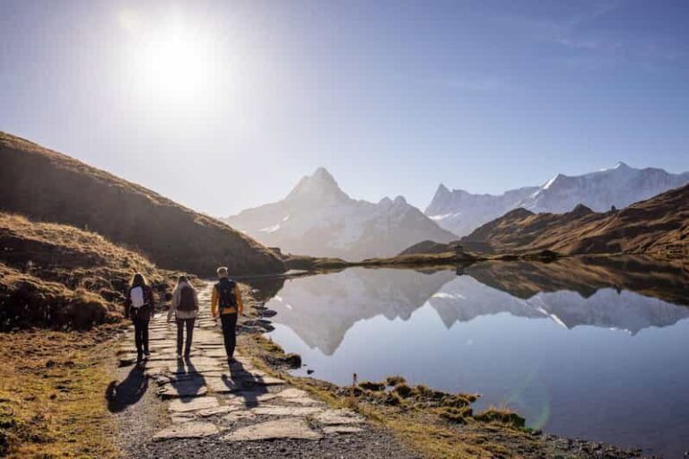 Private Guided Tour to Grindelwald First from Zurich - A Deep Dive into the Experience