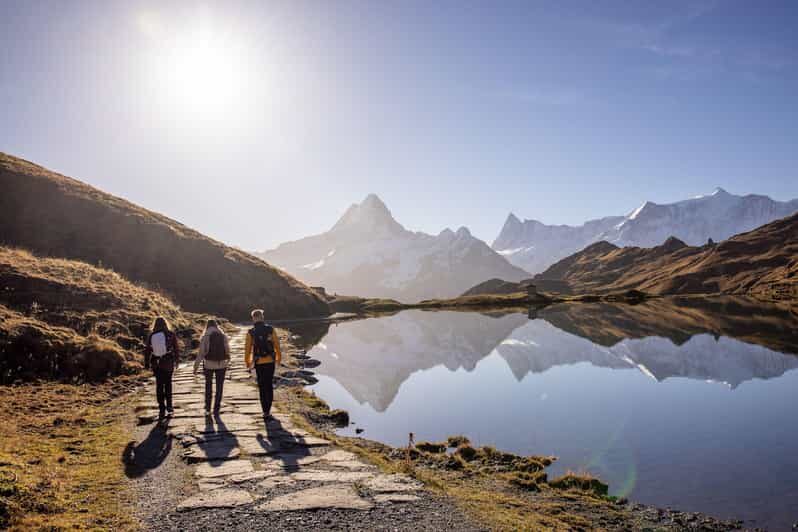 Private Guided Tour to Grindelwald First from Zurich - A Deep Dive into the Experience