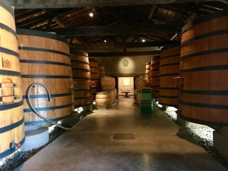 Private Half-Day Wine Tour in Citroën 2CV - The Itinerary Breakdown: What to Expect