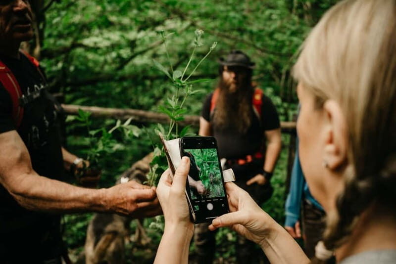 Private Hike: Brecon Beacons Henrhydd Falls Plus Foraging - What Makes This Tour Stand Out?
