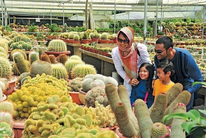 Private Nature Trip to Cameron Highlands from Kuala Lumpur - Introduction