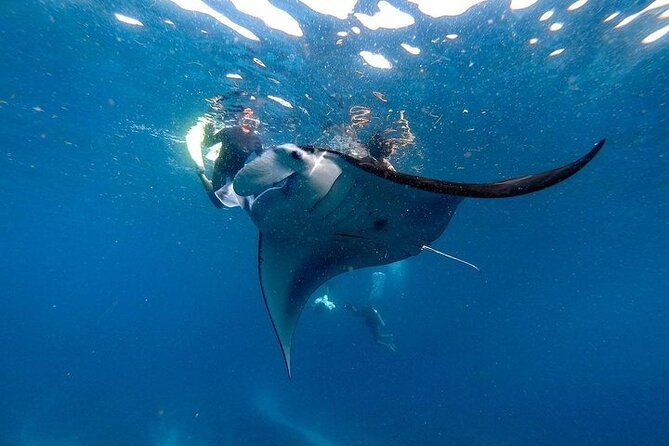PRIVATE Nusa Penida on Boat Snorkeling & Island Tour (INCLUSIVE) - Introduction