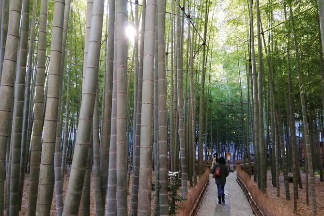 Private Old Temples Guided Tour in Kamakura - Key Points