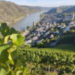 Private Rhine Valley tour with river cruise & wine tasting - Exploring the Highlights of the Rhine Valley