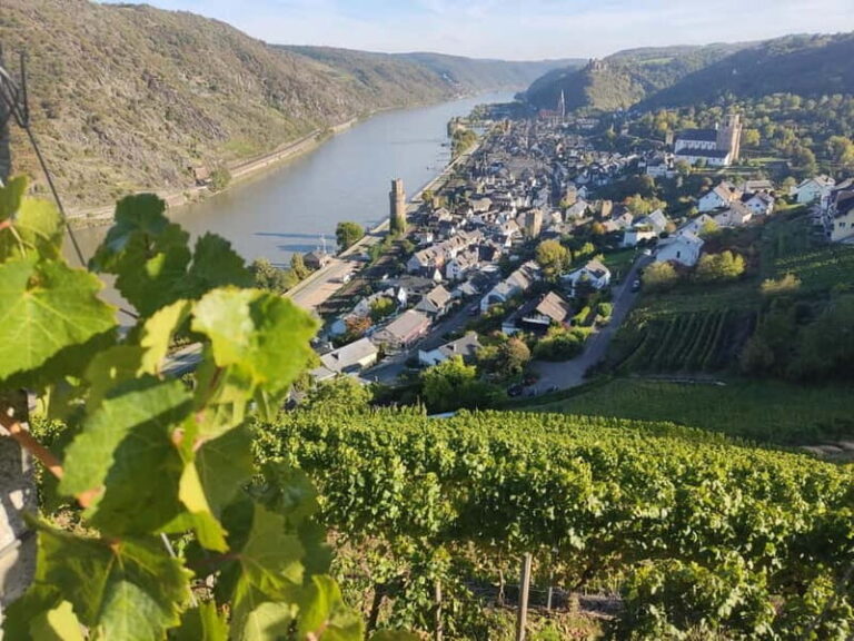 Private Rhine Valley tour with river cruise & wine tasting - Exploring the Highlights of the Rhine Valley