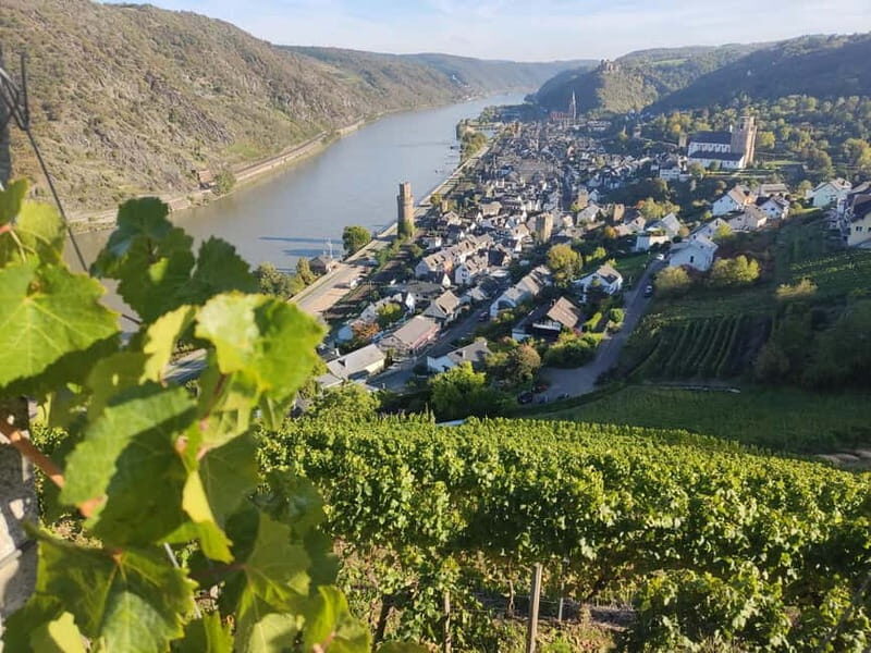 Private Rhine Valley tour with river cruise & wine tasting - Exploring the Highlights of the Rhine Valley