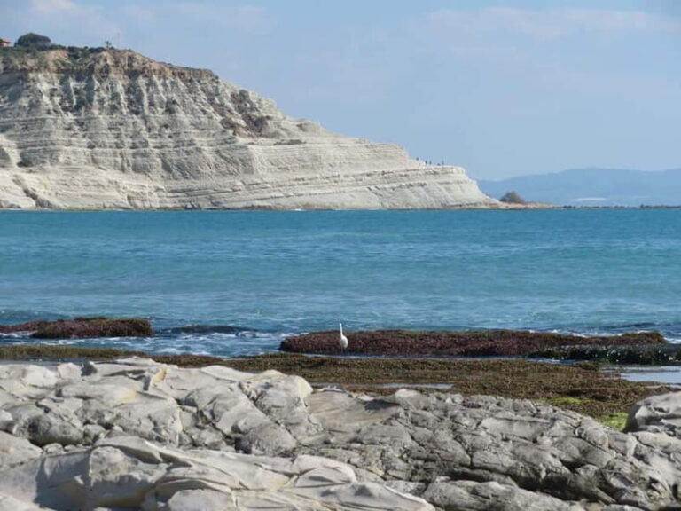 Private Sailing Cruise along the Coast of Agrigento - Price, Value, and Practical Tips