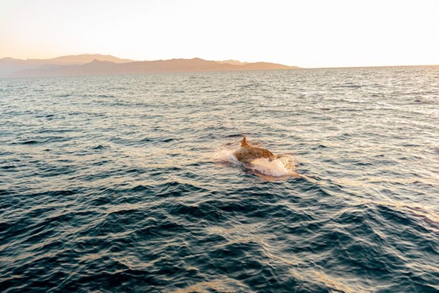 Private Sailing Trip from Heraklion to Dia island - Detailed Breakdown of the Itinerary