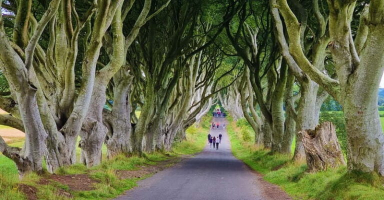Private Shore Excursion From Belfast Cruise Terminal - Transportation and Guides