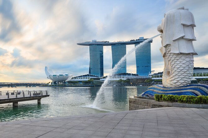 Private Singapore City Tour and National Orchid Garden - Exploring Singapore in Comfort and Style