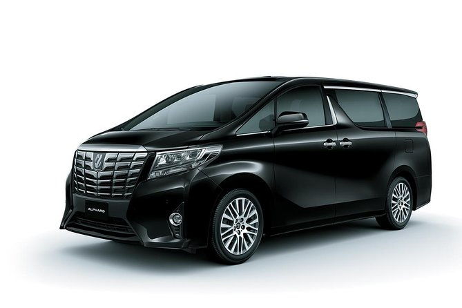 Private Singapore Departure in Mini Van from Hotel to Changi Airport - Key Points