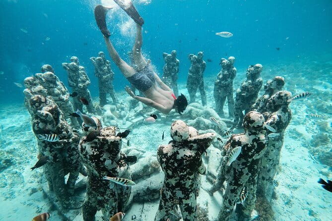 Private Snorkeling Gili Island Including GoPro Camera - A Closer Look at What Makes This Snorkeling Tour Stand Out