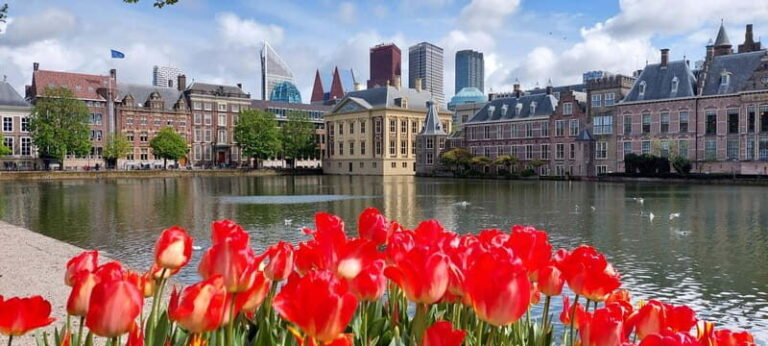 Private The Hague Visual Content Creation Tour - What to Expect: Practical Details