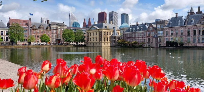 Private The Hague Visual Content Creation Tour - What to Expect: Practical Details