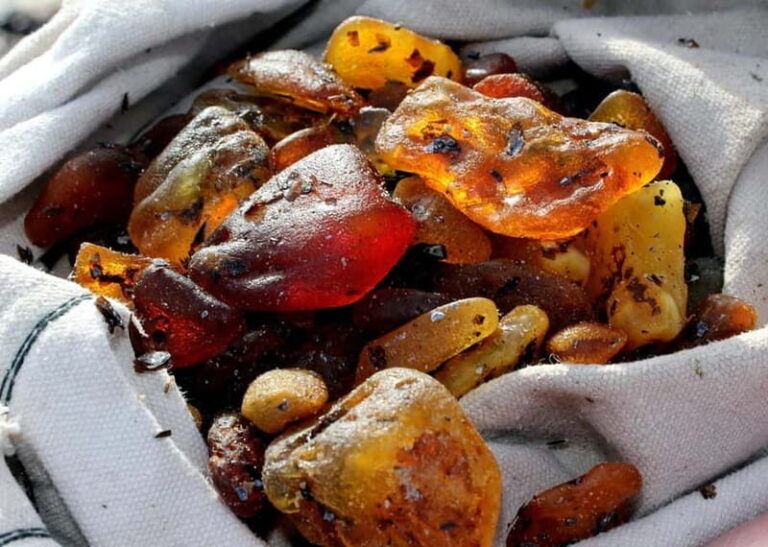 Private Tour: Amber Catching in Curonian Spit from Klaipeda - The Value of this Tour