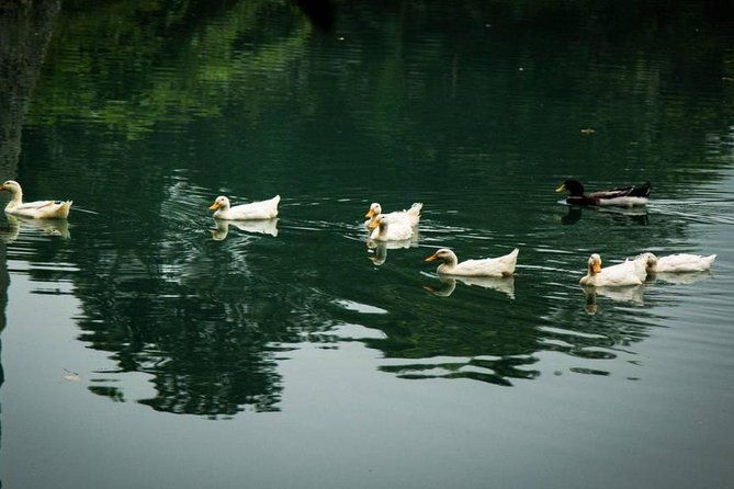 Private Tour: Day Tour of Mai Chau from Hanoi - Key Points