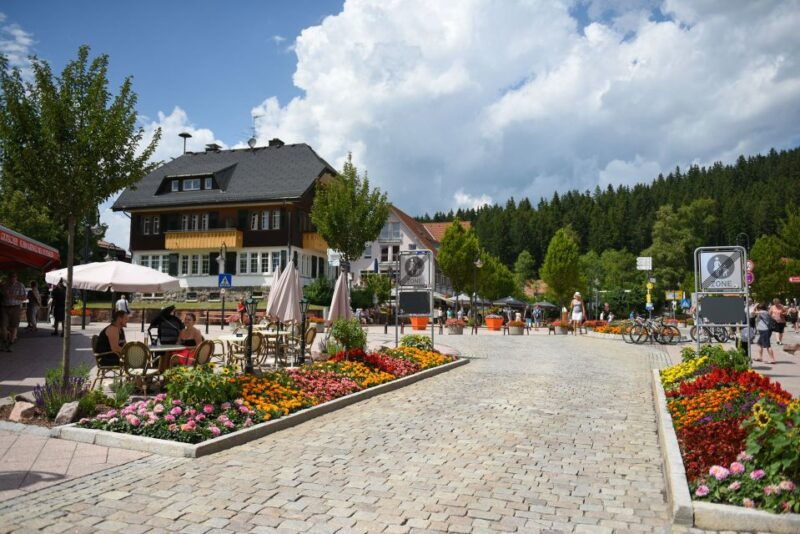 Private Tour from Zurich to Rhine Falls and Black Forest - Key Points