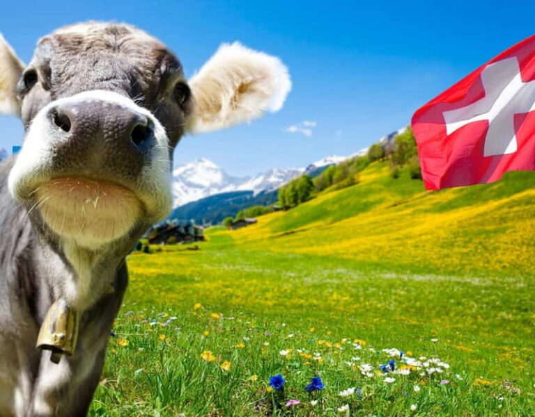 Private tour Geneva-Gruyère's: chocolate and cheese factory - The Journey from Geneva to Gruyères: A Scenic Ride