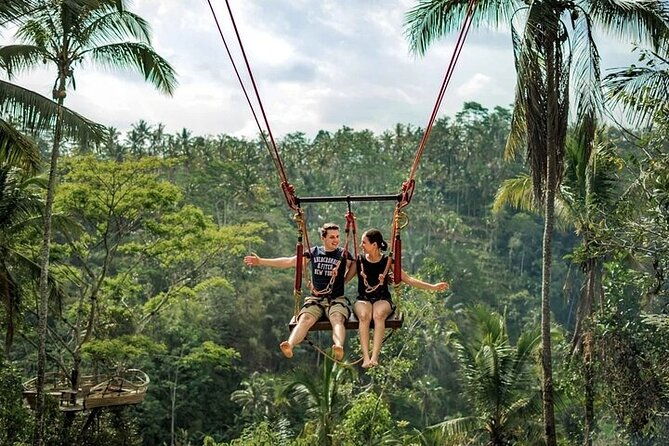 Private Tour in Ubud with Jungle Swing - Key Points