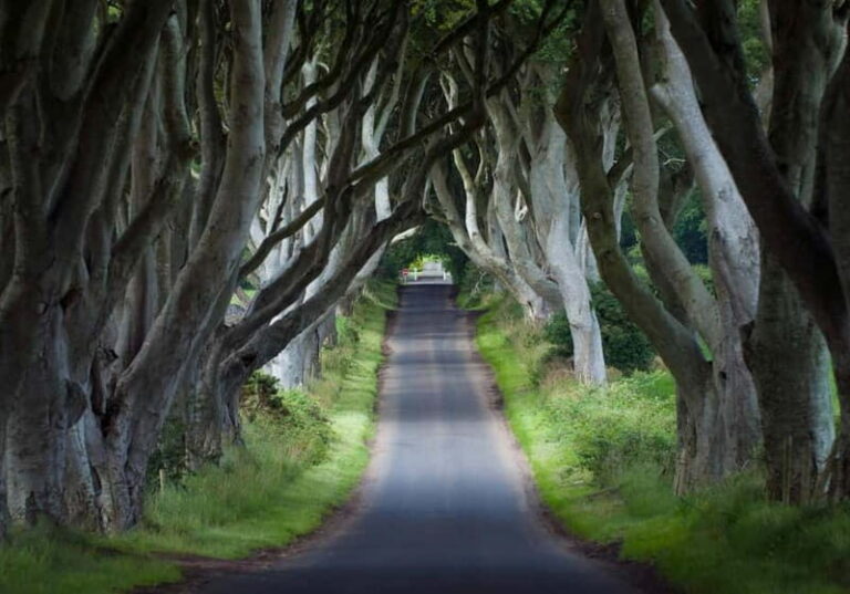 Private Tour of Game of Thrones Filming Locations Ireland - Carnlough Harbour – Braavos Canal