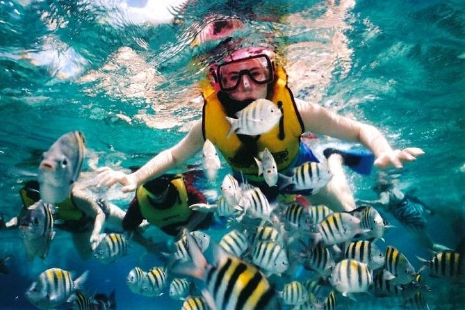 Private Tour: Tioman Island (Sribuat) Reef Snorkel & Summit Hike from Singapore - The Journey Begins at Dawn