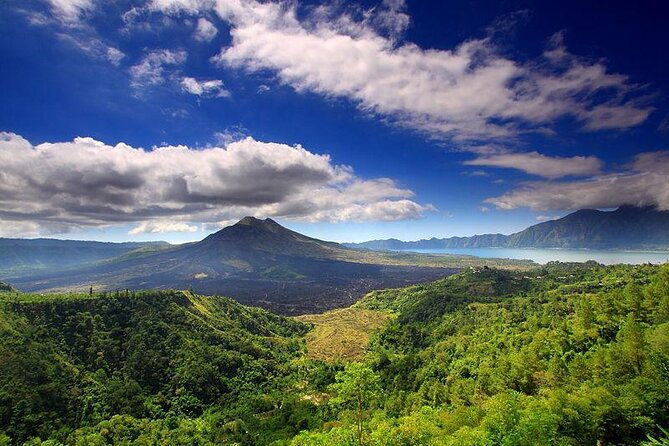 Private Tour - Ubud Kintamani Tours - Key Points