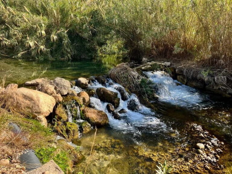 Private Tourism: Algar Waterfalls by Car - Who Is This Tour Best Suited For?