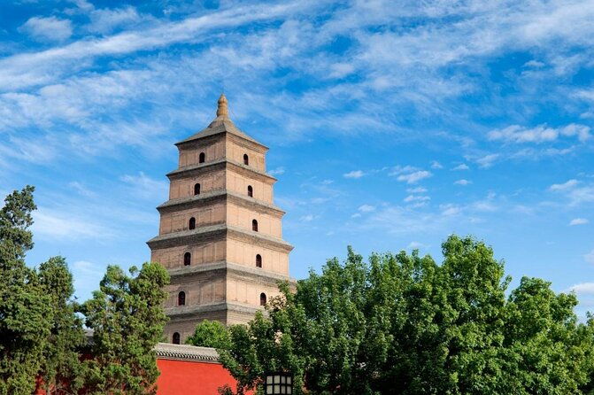 Private Tour:Terracotta Warriors,City Wall and Foodie Tour - Exploring Xian’s Top Sights with a Private Touch