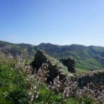 Private Trek from Pentedattilo to Rocche di Santa Lena - A Closer Look at the Trekking Experience