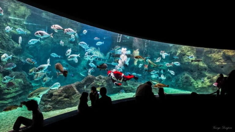 Private Trip From Rethymno to Dinosauria Park & Cretaquarium - Exploring Crete’s Dinosauria Park
