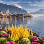 Private trip: Interlaken> Aigle Castle, Vineyards & Montreux - Scenic Drive to Montreux