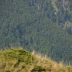 Prokletije Hiking Private Tour - The Experience in Detail
