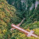 Prometheus Cave, Martvili & Okatse Canyon from Kutaisi - Who Is This Tour Best For?