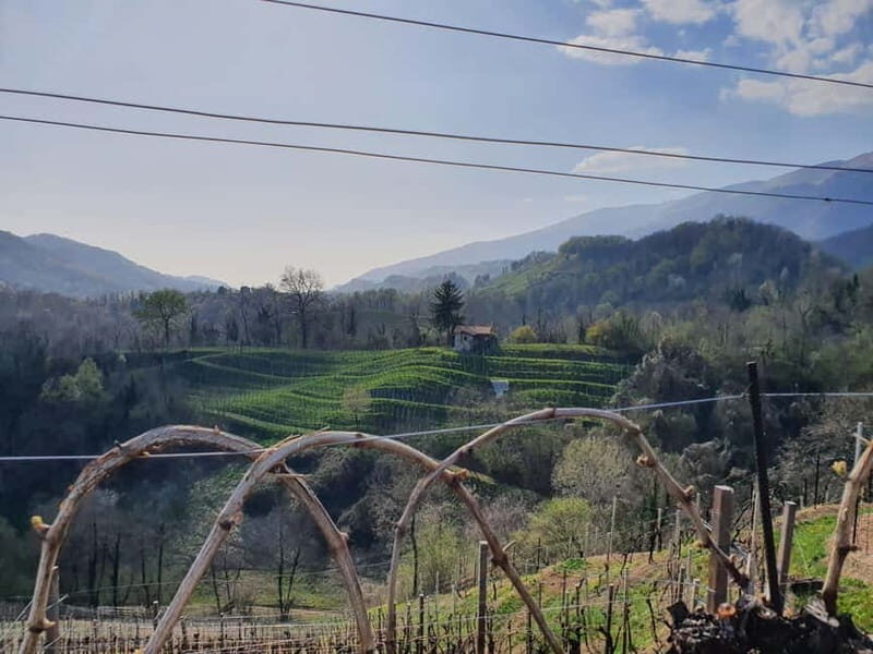 Prosecco Hills Conegliano Valdobbiadene Wine Tour - What Sets This Tour Apart?