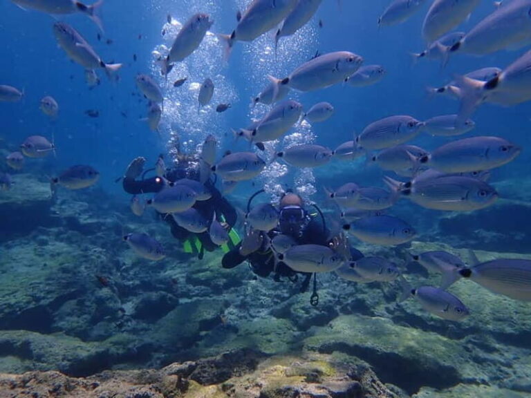 Protaras: 3-4 Day PADI Open Water Diver in Protaras - The Itinerary and What to Expect
