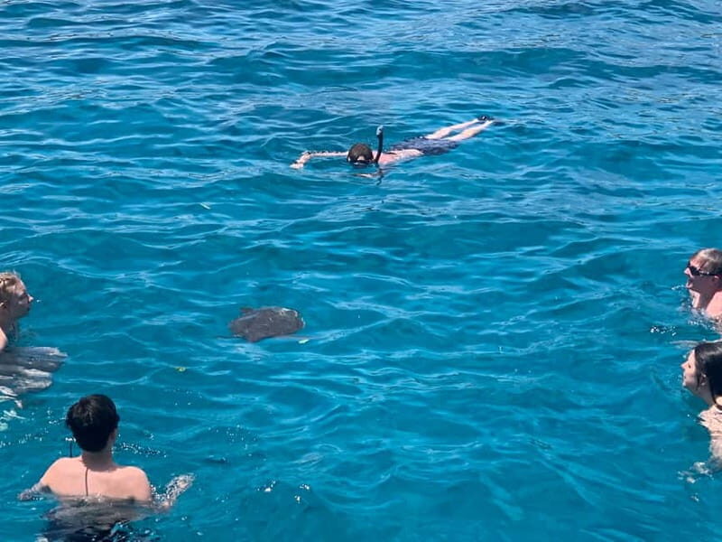 Protaras: DREAM of TURTLES | Luxury Yacht | BBQ | 1 Drink - Itinerary Breakdown