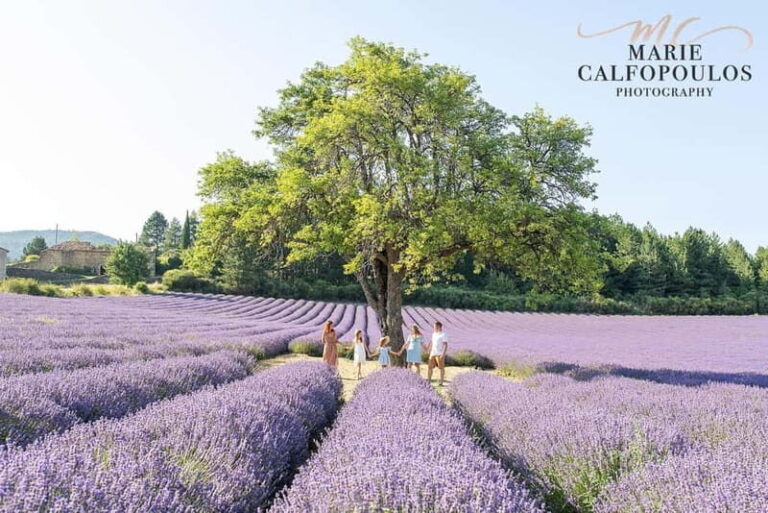 Provence: Private photoshoot by a professional photographer - Practical Details to Keep in Mind