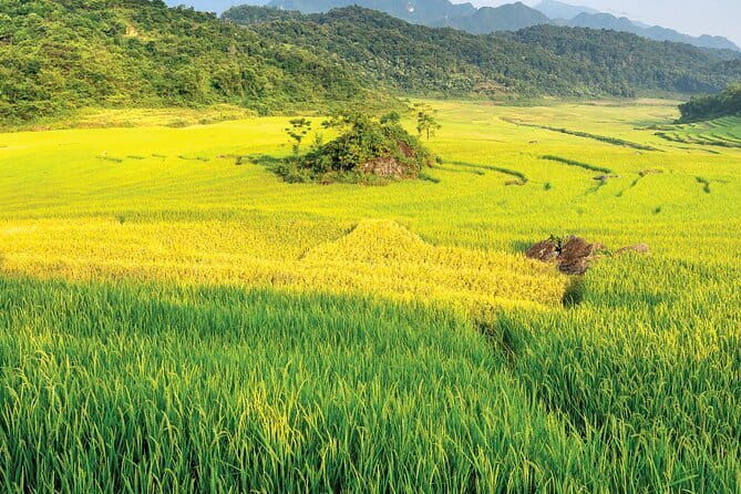 Pu Luong: 3-Day Adventure with Trekking, Cycling & Cooking Class - Introduction