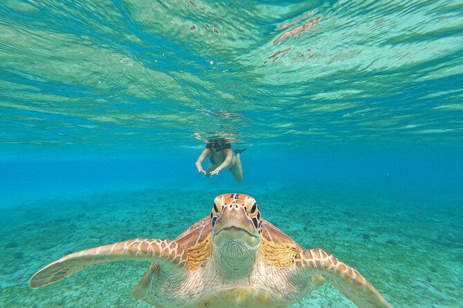Public Snorkeling 3 Islands - Introduction: What’s the Buzz About Public Snorkeling 3 Islands?