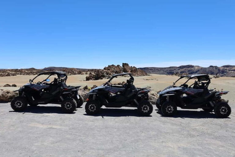 Puerto de la Cruz: Buggy Teide National Park Tour Lunar Land - The Practicalities