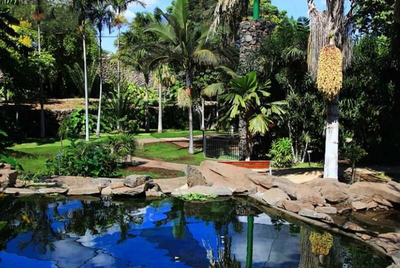 Puerto de la Cruz: VIP Getaway Tenerife Playa Teresitas, Science and Culture - What Makes This Tour Stand Out?