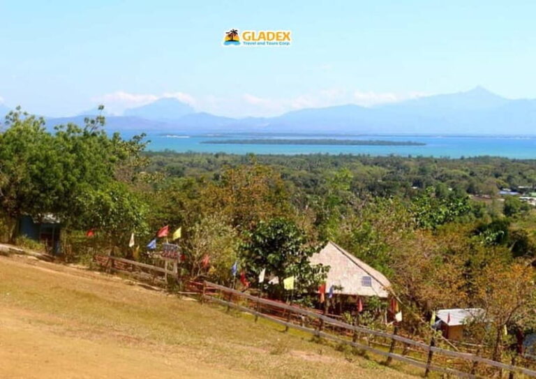 Puerto Princesa: City Highlights Half-Day Tour - The Perfect Introductory Tour